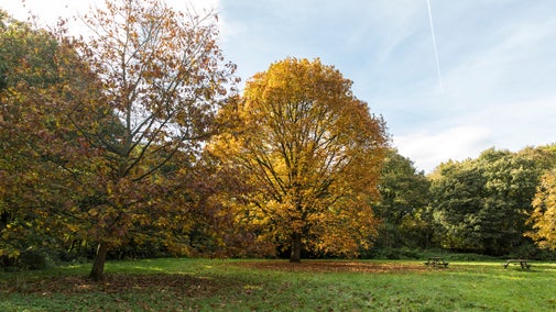 Autumnm colour at Rufford Old Hall